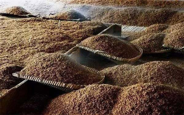 酒渣烘干機處理前 酒渣烘干機處理前